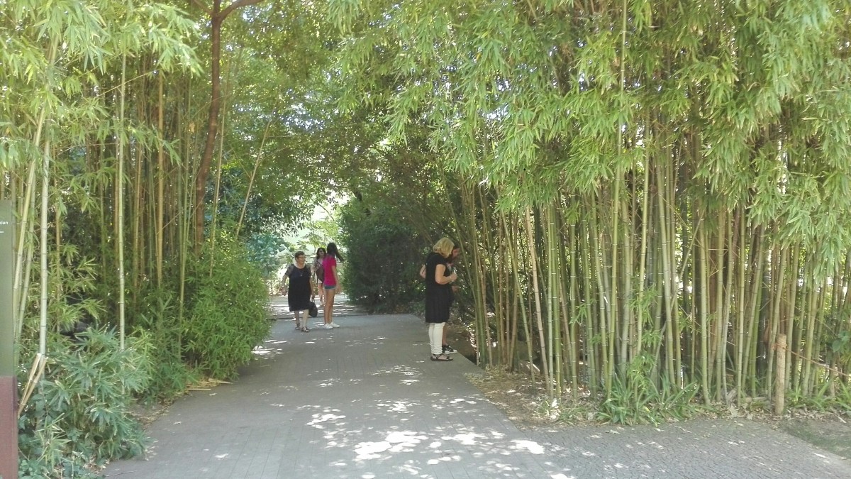 Lisbona - Fondazione Calouste Gulbenkian