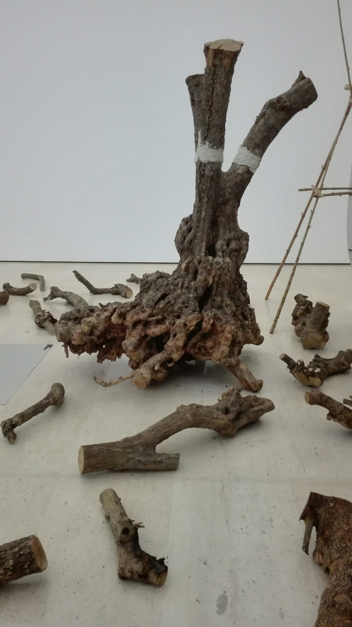 Lisbona - Fondazione Calouste Gulbenkian - Collezione moderna