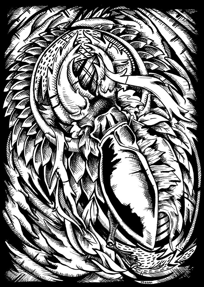 Matteo Tauriello aka Freom