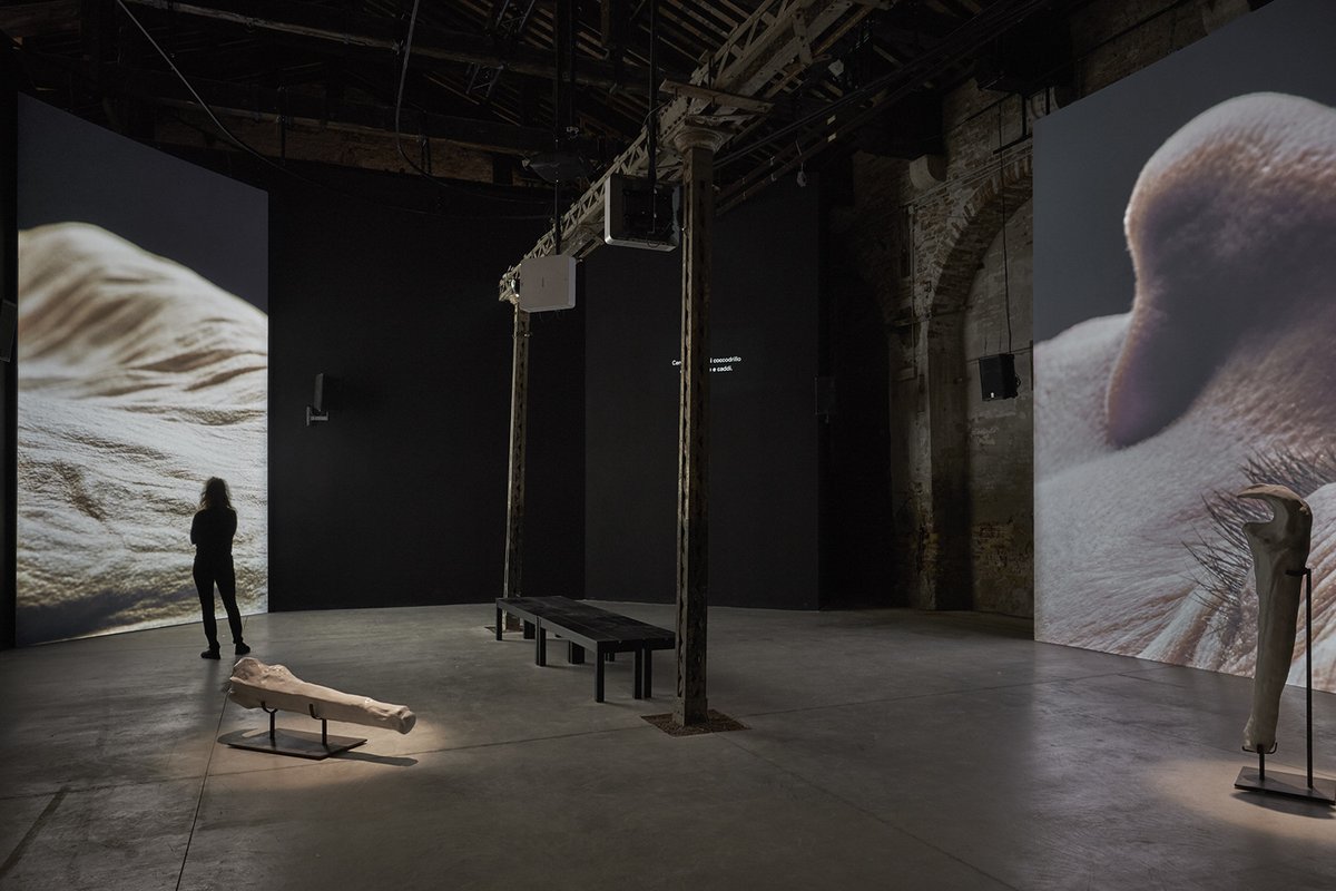 "Tremble Tremble" by Jesse Jones @Arsenale