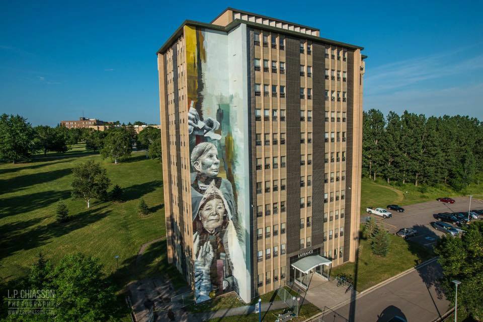 Wasp Elder @Moncton, Canada