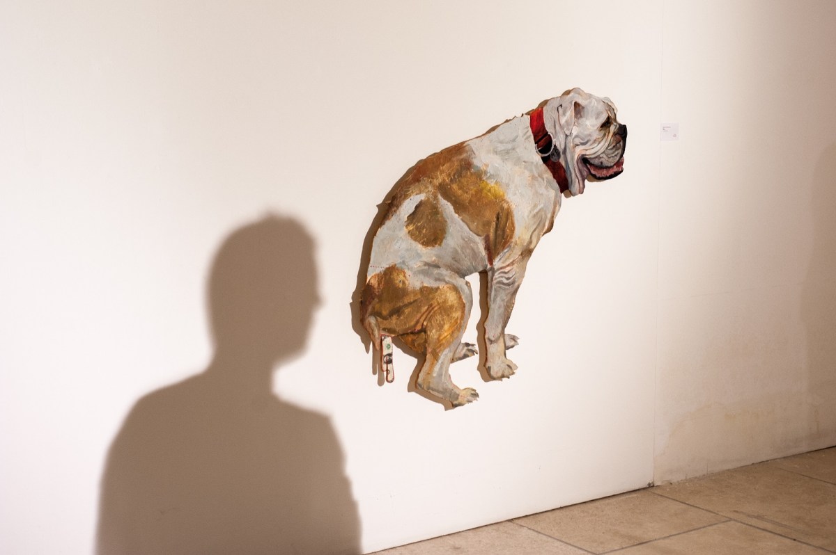 Smart Cityness 2017 - Opera di Marco Pautasso - Fotografia di Carlo Modoni