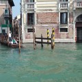 Venezia