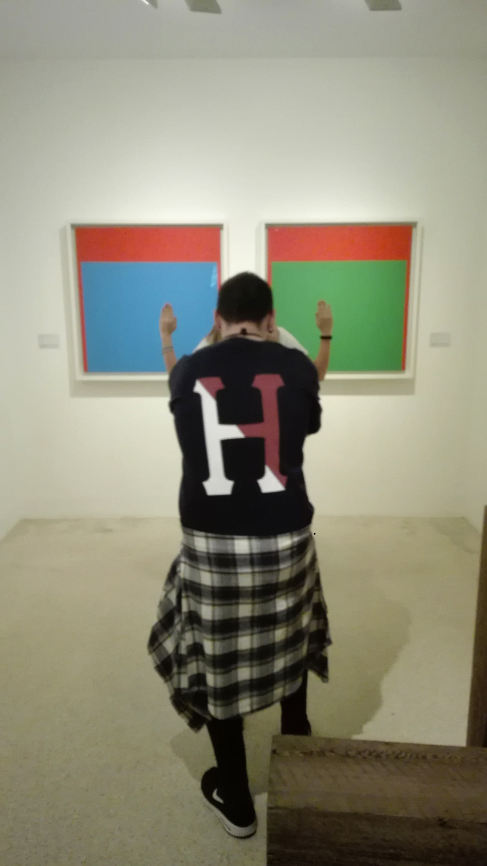 “Rosso verde” (1964) by Ellsworth Kelly @ Peggy Guggenheim Collection