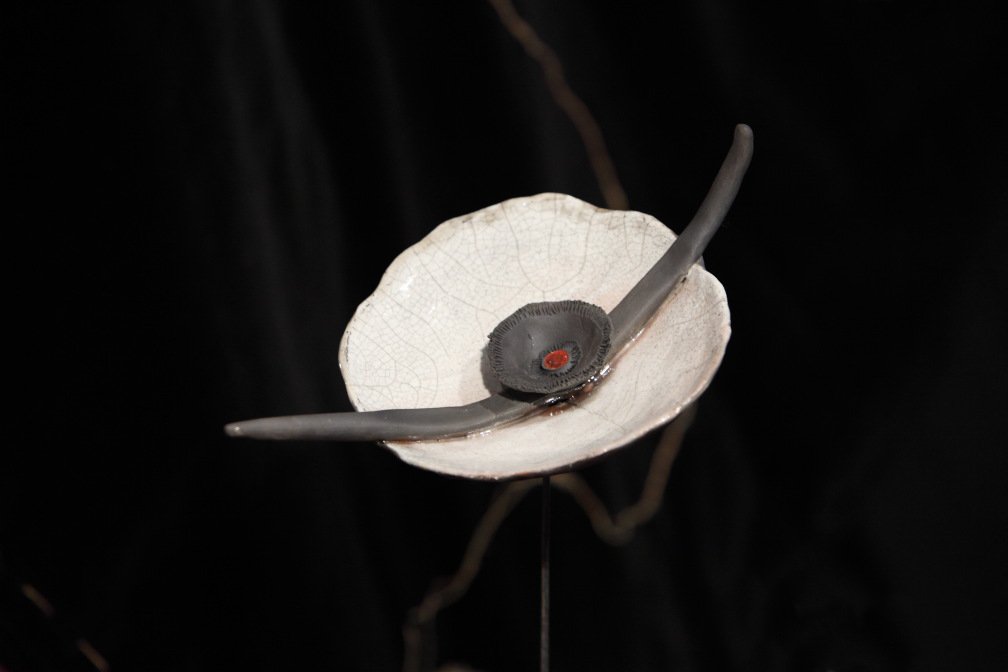 Jubanna - Fiore nucleare