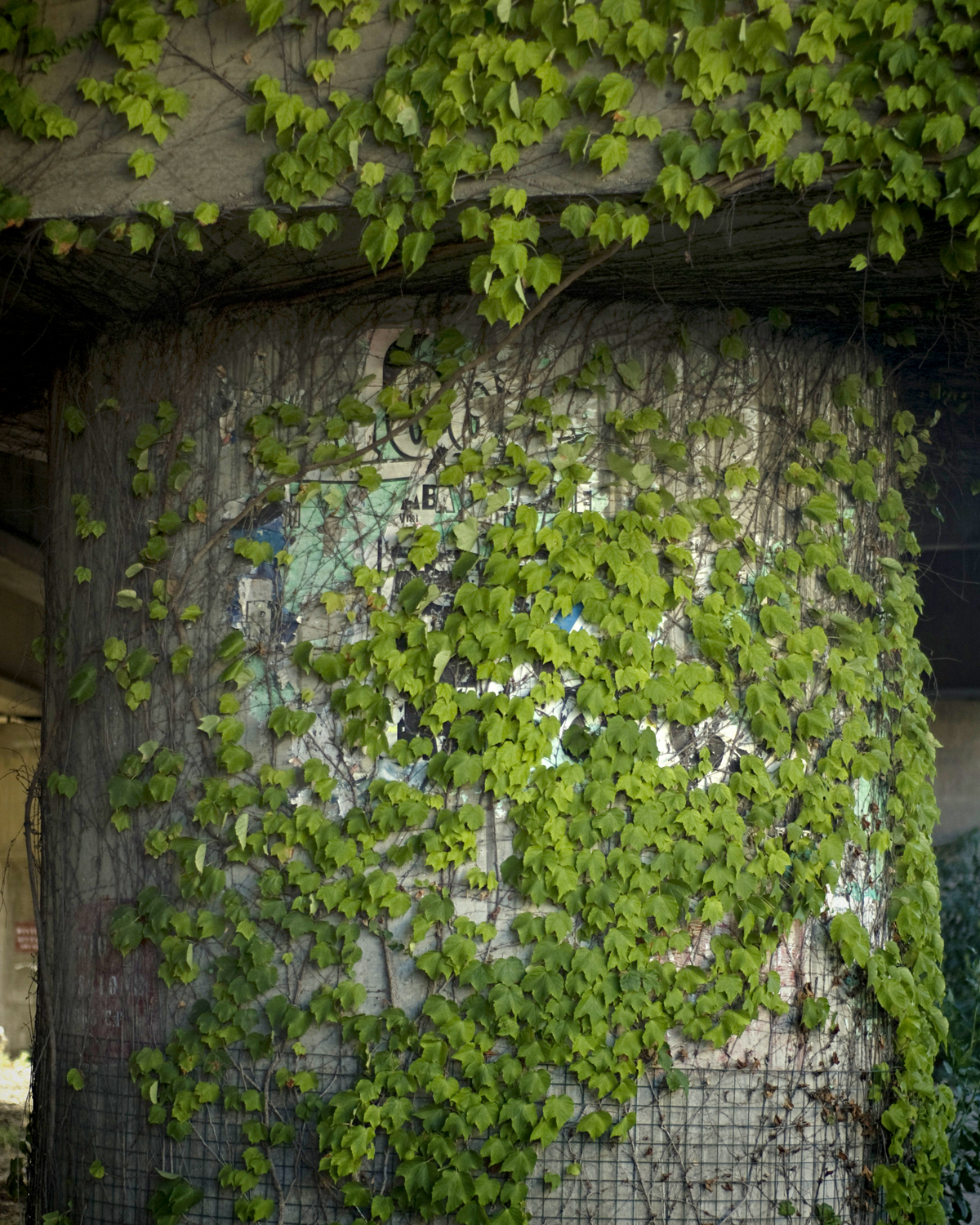 Paolo Marchi - MEDITERRANEAN (18)