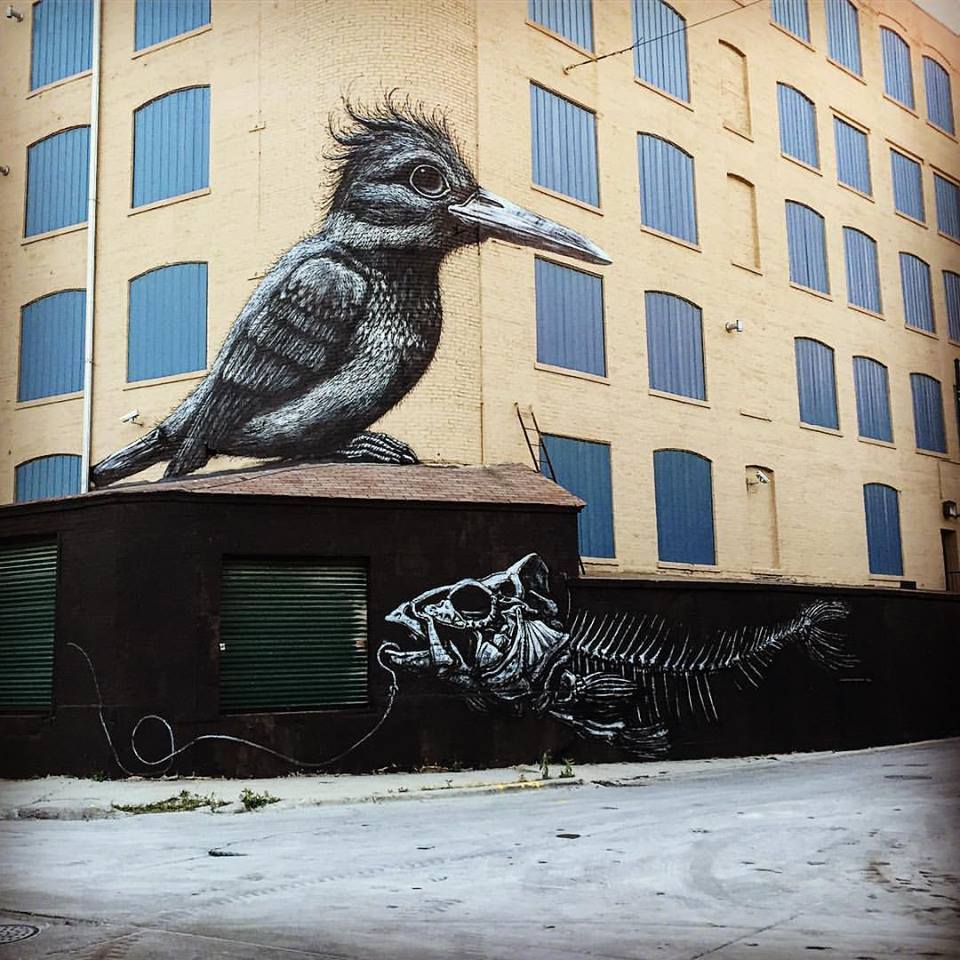 ROA @Chicago, USA ROA @Chicago, USA