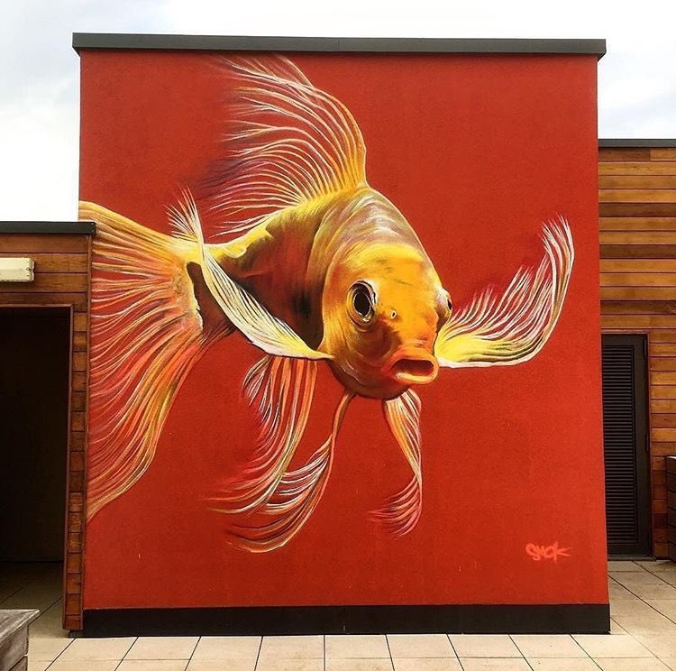 Smok @Edegem, Belgium