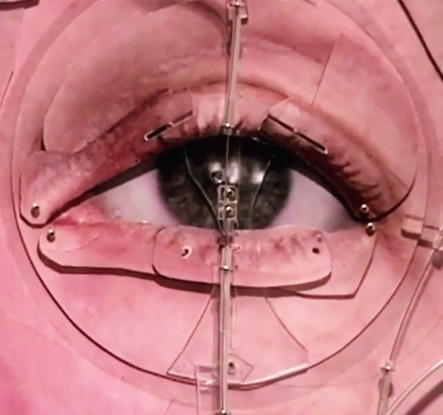 "Mechanical human" by Tim Hawkinson