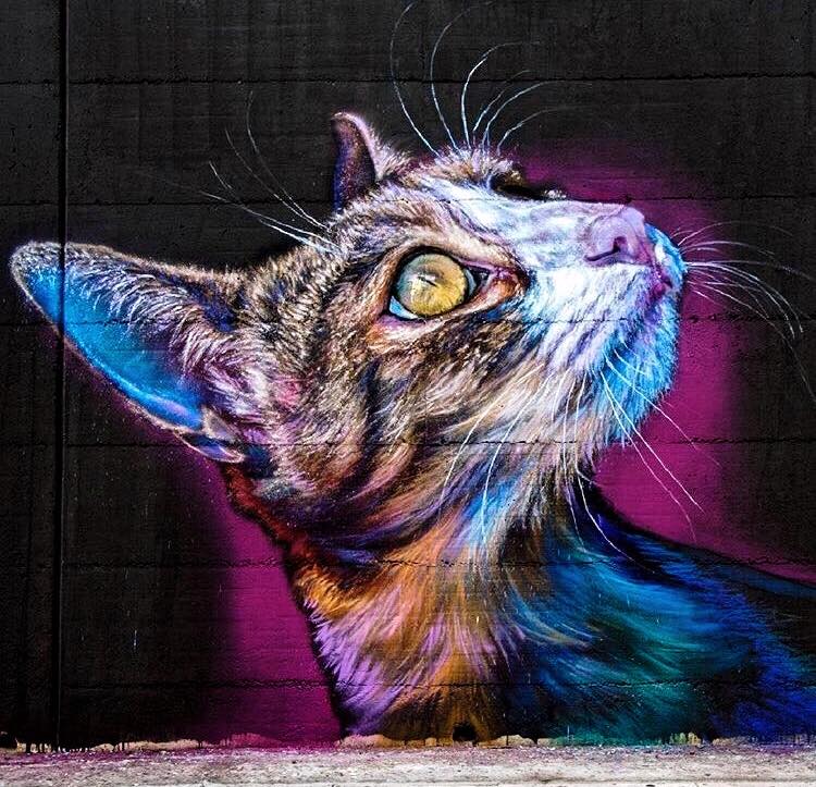 Caktus E Maria @Italy