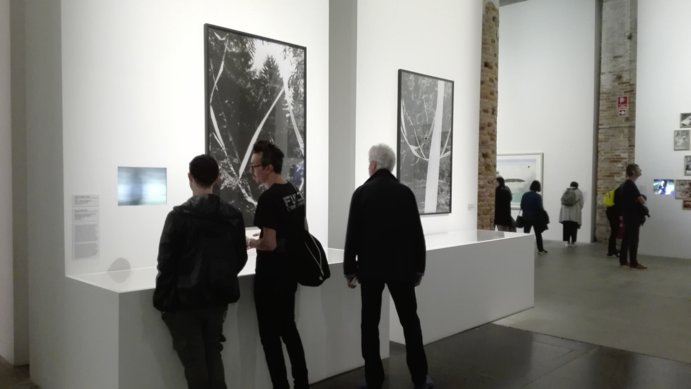 Biennale Arte 2017 – Arsenale -"OHO - Summer Projects" di OHO and Naško Križnar