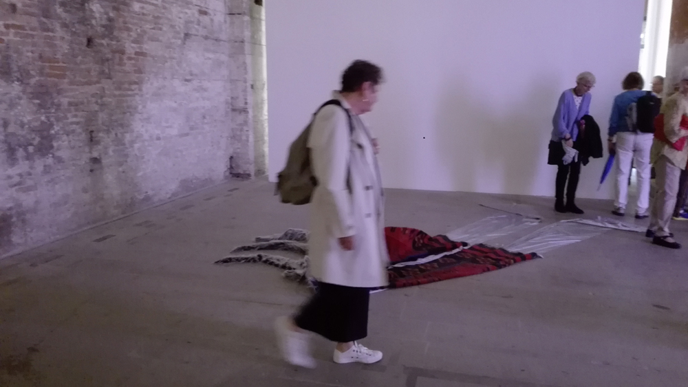 Biennale Arte 2017 – Arsenale -"Do you realise there is a rainbow even if it is night?" di Petrit Halilaj (Kosovo)