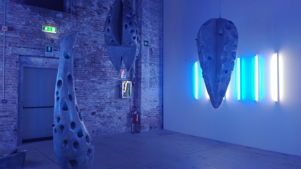 Biennale Arte 2017 – Arsenale - Rina Banerjee (India)