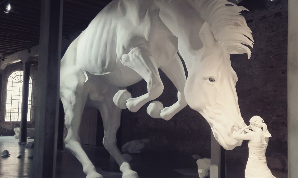 Biennale Arte 2017 - Arsenale - Padiglione Argentina - "The horse problem" di Claudia Fontes (Argentina)