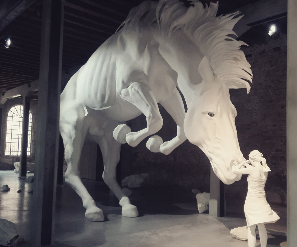 Biennale Arte 2017 - Arsenale - Padiglione Argentina - "The horse problem" di Claudia Fontes (Argentina)