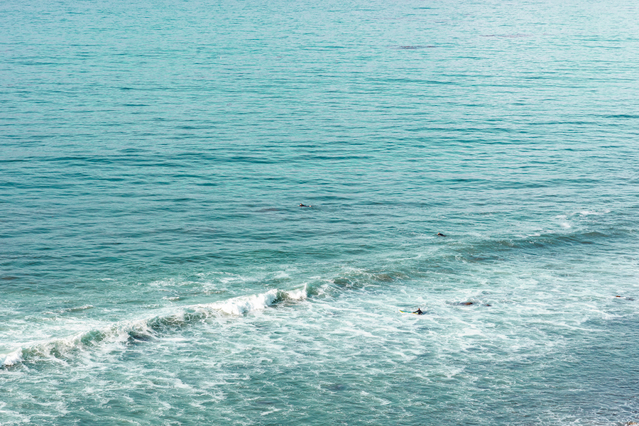 Ludwig Favre - California