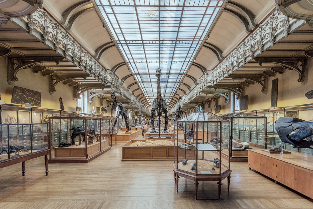 Ludwig Favre - Places of culture of Paris