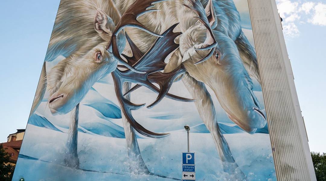 Smug One @Karlstad, Sweden