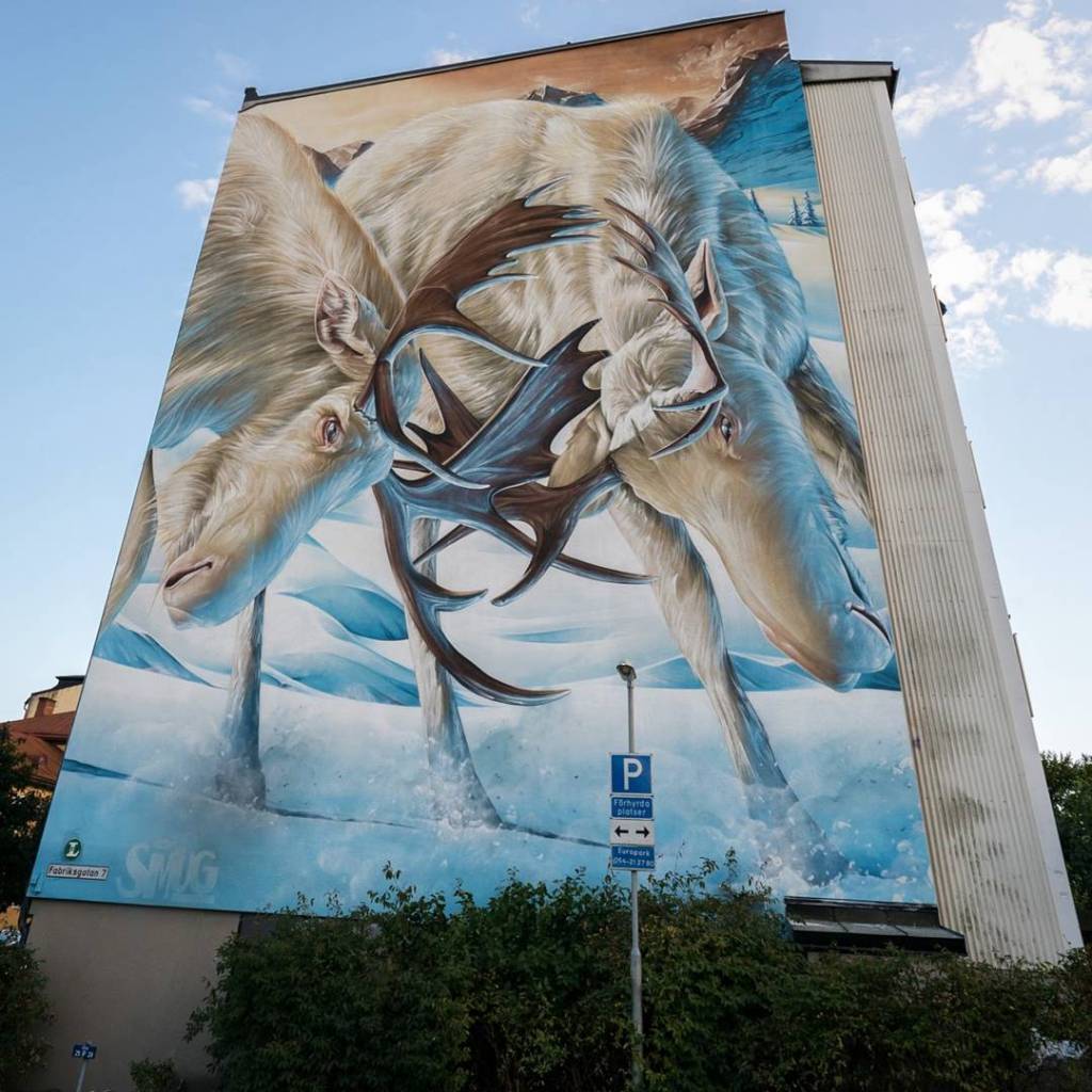 Smug One @Karlstad, Sweden