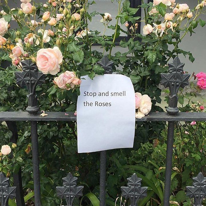 Stop and smell the roses