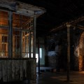 Biennale Arte 2017 – Arsenale – Padiglione Armenia e Georgia – “Living dog among dead lions” di Vajiko Chachkhiani (Georgia)
