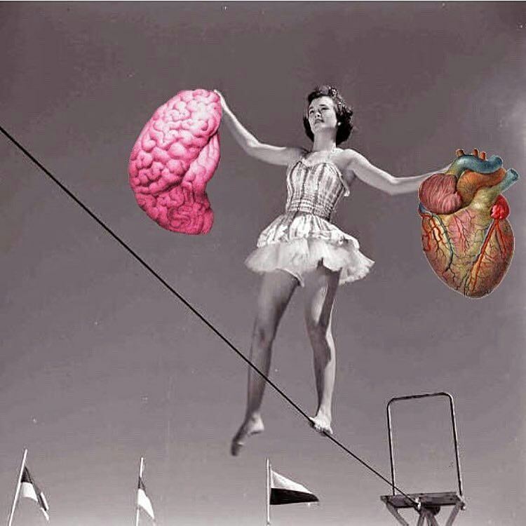 Collage by Gary Hoang