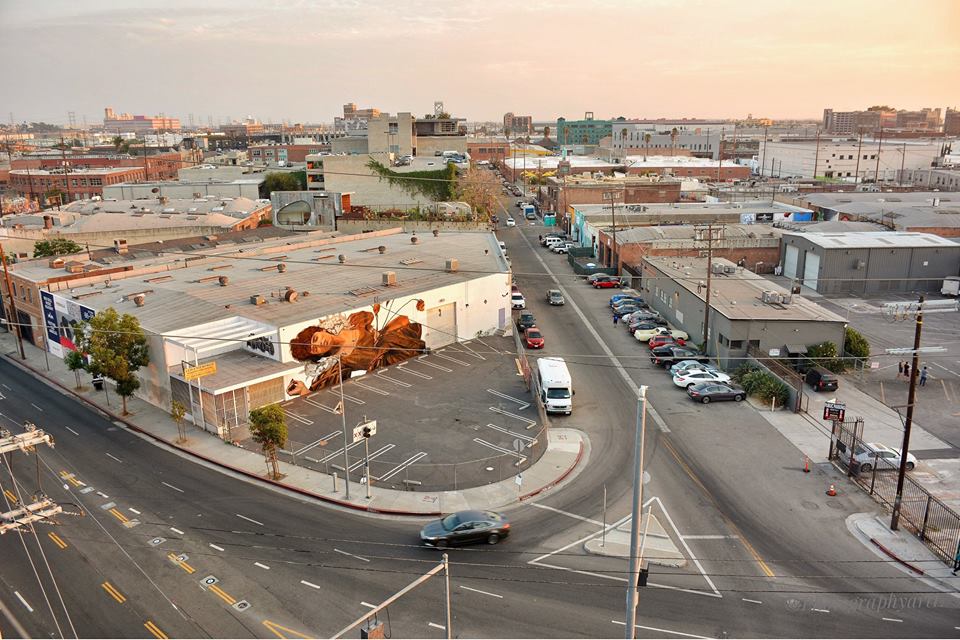 Drew Merritt @Los Angeles, USA