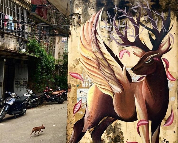 Fio Silva @Hanoi, Vietnam