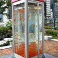 FishTank PhoneBooth by Kingyobu collective in Japan  (Il collettivo artistico giapponese noto come Kingyobu (“club dei pesci rossi”) ha installato Gold Tele, una cabina telefonica-acquario a Osaka, in Giappone, durante il festival artistico Canvas Project)