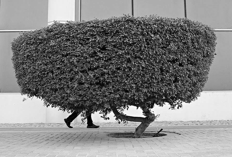 Fotografia di Arsenio Jr Nidoy