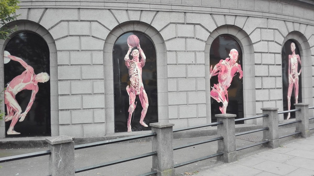 Dublino - Ambassador Cinema