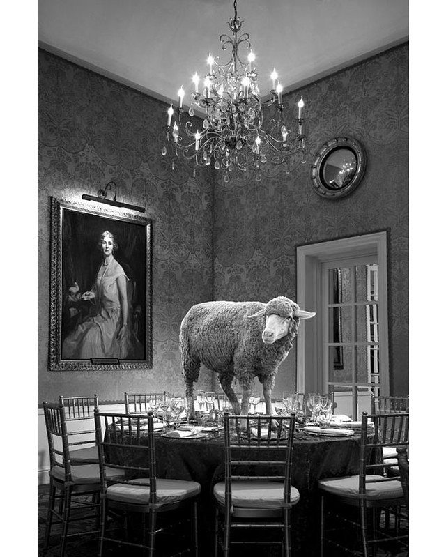 Photography by Justin Dingwall