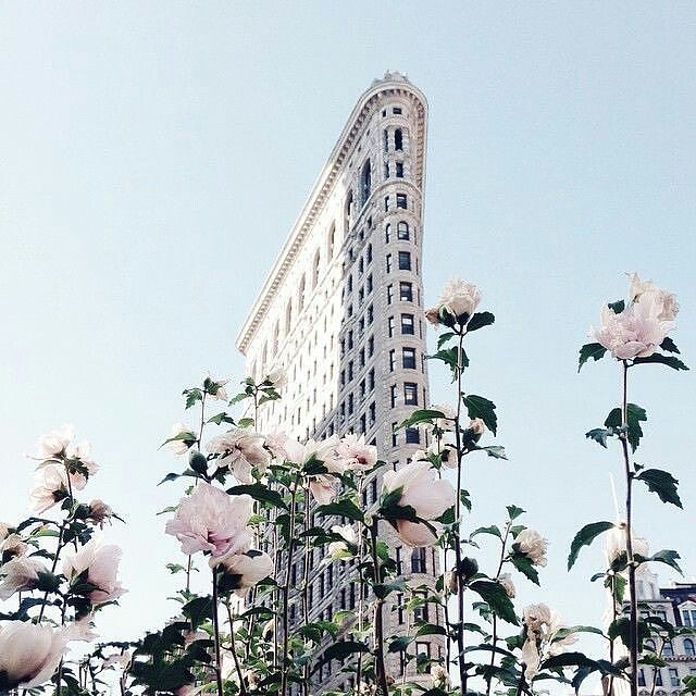The Flatiron Building, NY by Lina Delika