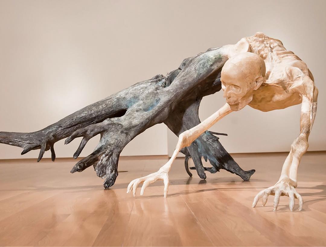 TRANS (FORMACIONES) by Javier Pérez