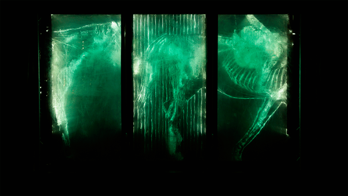 Borondo - HIERARCHIE