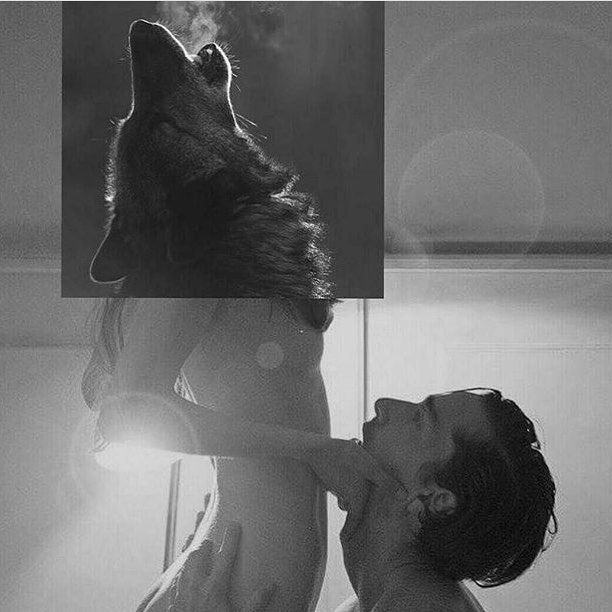 Collage di Naro Pinosa