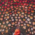 Fotografia di Kristina Makeeva