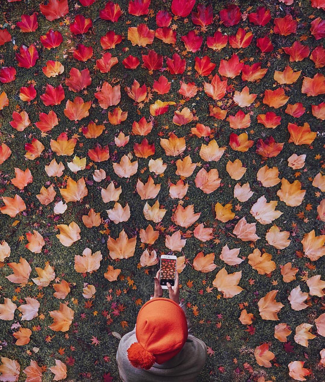 Fotografia di Kristina Makeeva
