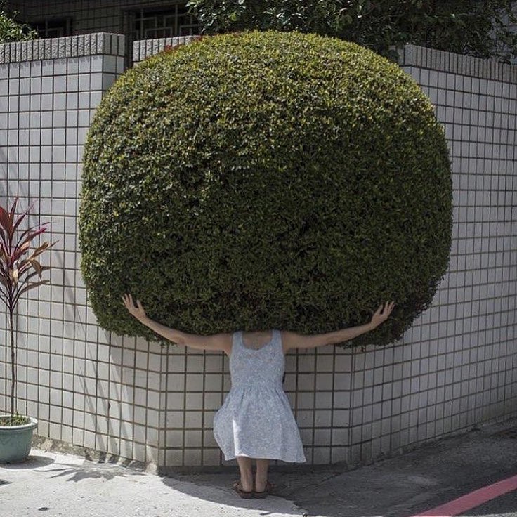 Fotografia di Lin Yung Cheng