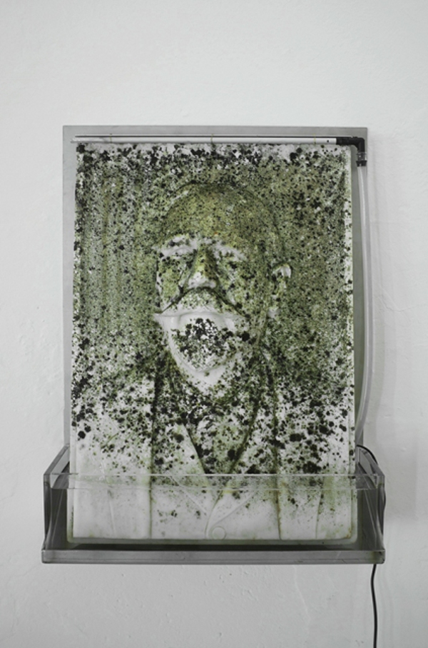 Massimiliano Pelletti