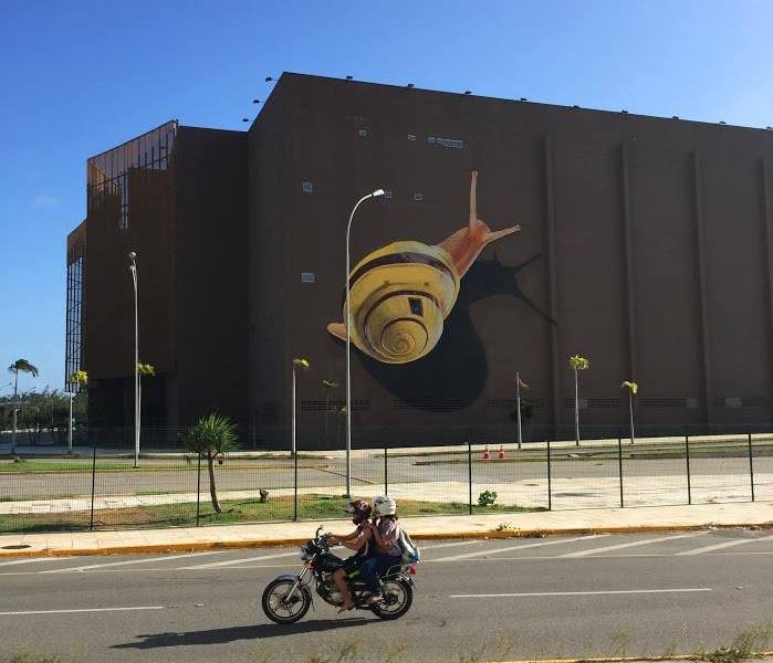 Medianeras @Fortaleza, Brazil