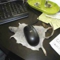 Mousepad topo