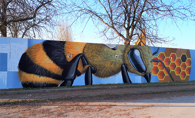 Vida Krei @Medolla, Italy