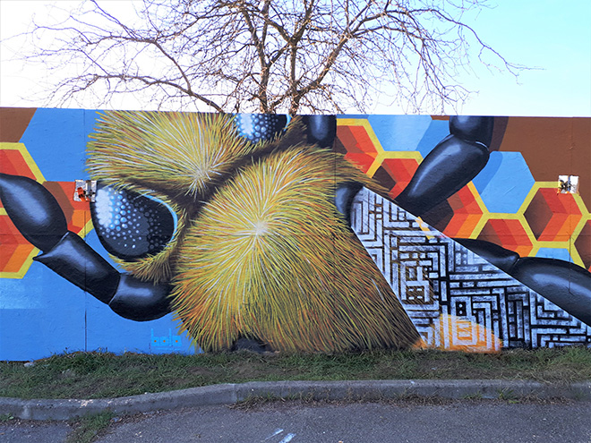 Vida Krei @Medolla, Italy Vida Krei @Medolla, Italy