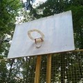 Cesso da Basket