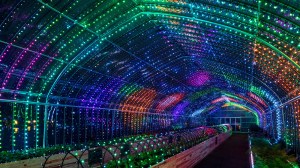 Digital Vegetables @Tokyo Midtown