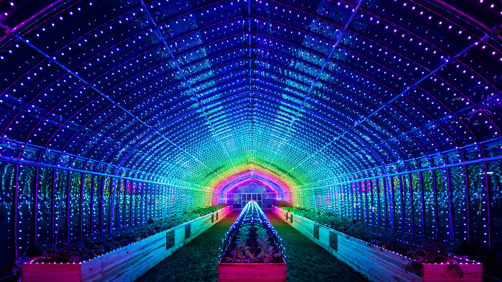 Digital Vegetables @Tokyo Midtown