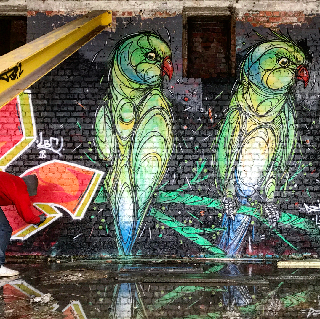 Dzia @Brussels, Belgium