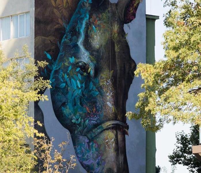 Ernesto Maranje @Odessa, Ukraine