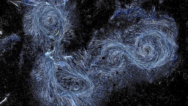 "Moving Creates Vortices and Vortices Create Movement" by Teamlab